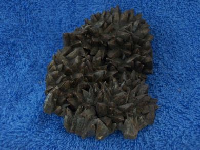 Dogtooth Calcite