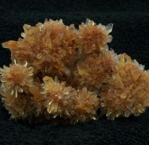 Creedite