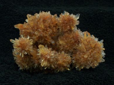 Creedite