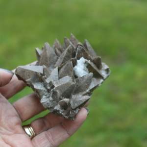 Dogtooth Calcite